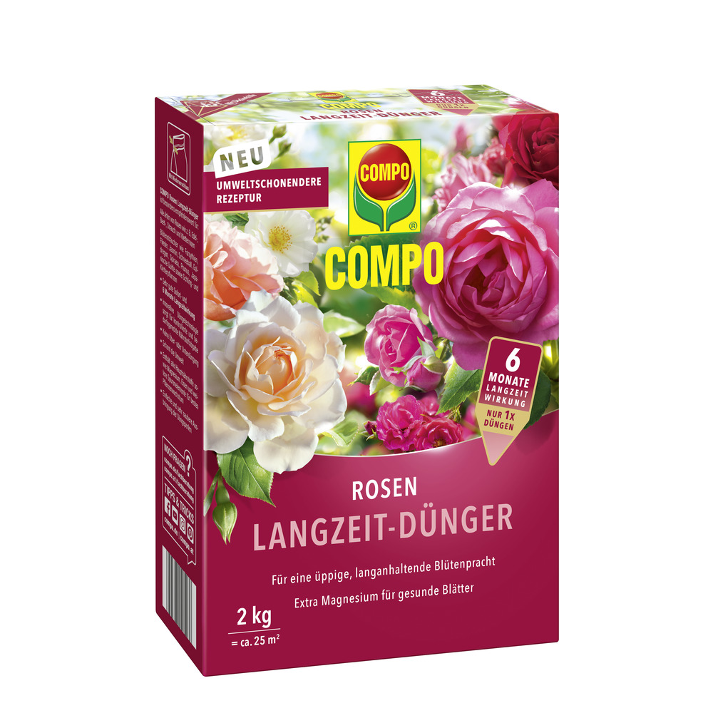 saatgut kaufen bio Bio Saatgut Rote Beete 'Gesche SG' – keep it grün main image 1